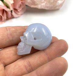 Bl Chalcedon skull