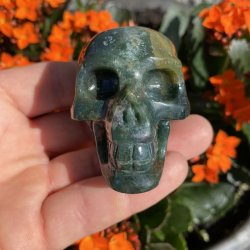 Mosagat skull