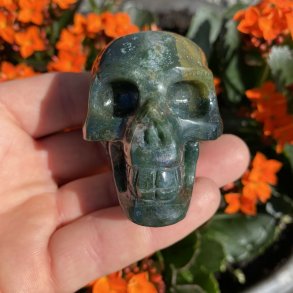 Mosagat skull