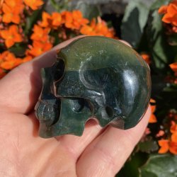 Mosagat skull