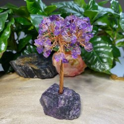 Ametyst krystaltr med fluorit bund