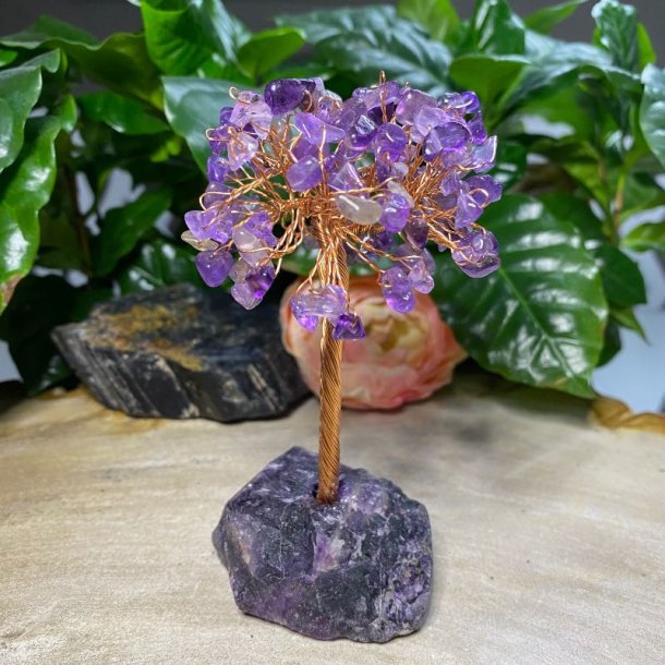 Ametyst krystaltr med fluorit bund