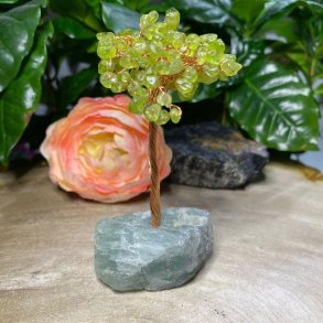 Peridot krystaltr med fluorit bund