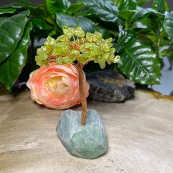 Peridot krystaltr med fluorit bund