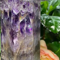 Chevron Ametyst trn 175mm