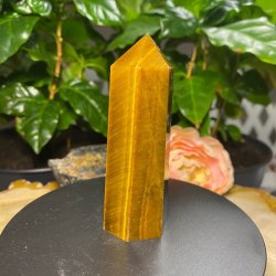 Tiger�je t�rn 87mm