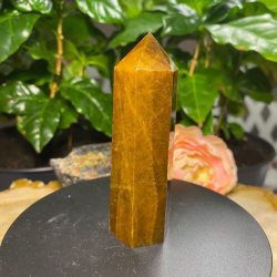 Tiger�je t�rn 87mm