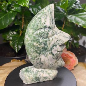 Mosagat smilende mne