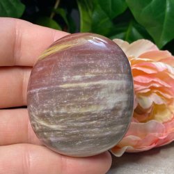 Forstenet tr� jumbo