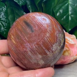 Forstenet tr kugle 81mm