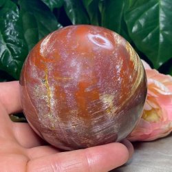 Forstenet tr kugle 81mm