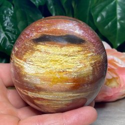 Forstenet tr kugle 81mm