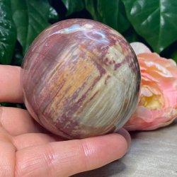 Forstenet tr kugle 68mm