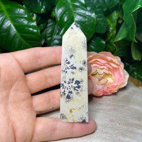 Billede jaspis trn 97mm