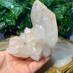 Lemurie krystal klynge