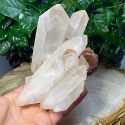 Lemurie krystal klynge