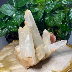 Lemurie krystal klynge