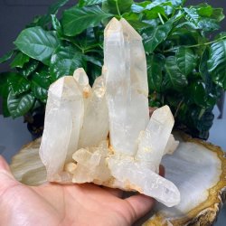 Lemurie krystal klynge