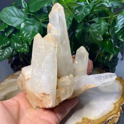 Lemurie krystal klynge