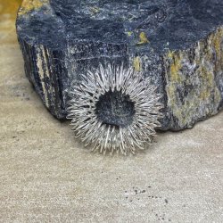 Akupressur ring / finger roller