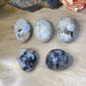 Regnbue mnesten lommesten xl