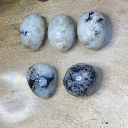 Regnbue mnesten lommesten xl