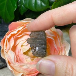 �gte Moldavit 3,84gr