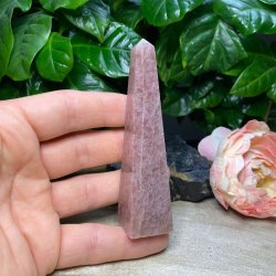 Jordb�rkvarts t�rn 101mm