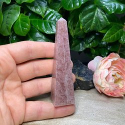 Jordb�rkvarts t�rn 101mm