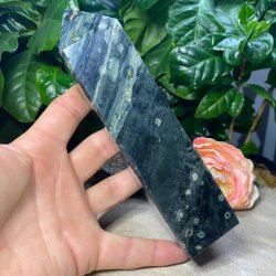 Hav jaspis trn 170mm