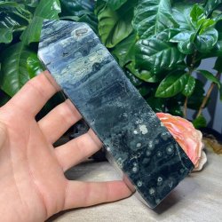 Hav jaspis trn 170mm