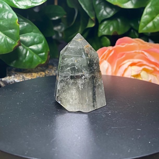 Sharma Dreamstone trn