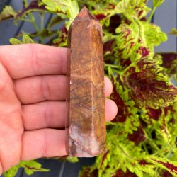 Cherry creek jaspis trn