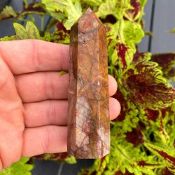 Cherry creek jaspis trn