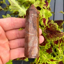 Cherry creek jaspis trn