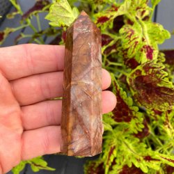 Cherry creek jaspis trn