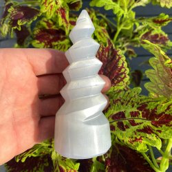 Selenit trn spiralformet