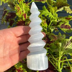 Selenit trn spiralformet