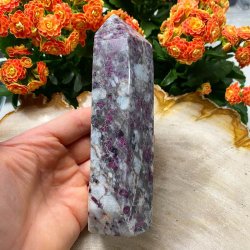 Rubellit trn 160mm 160mm