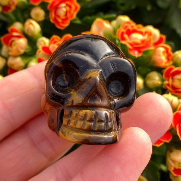 Tigerje skull
